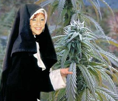 Mon beau sapin